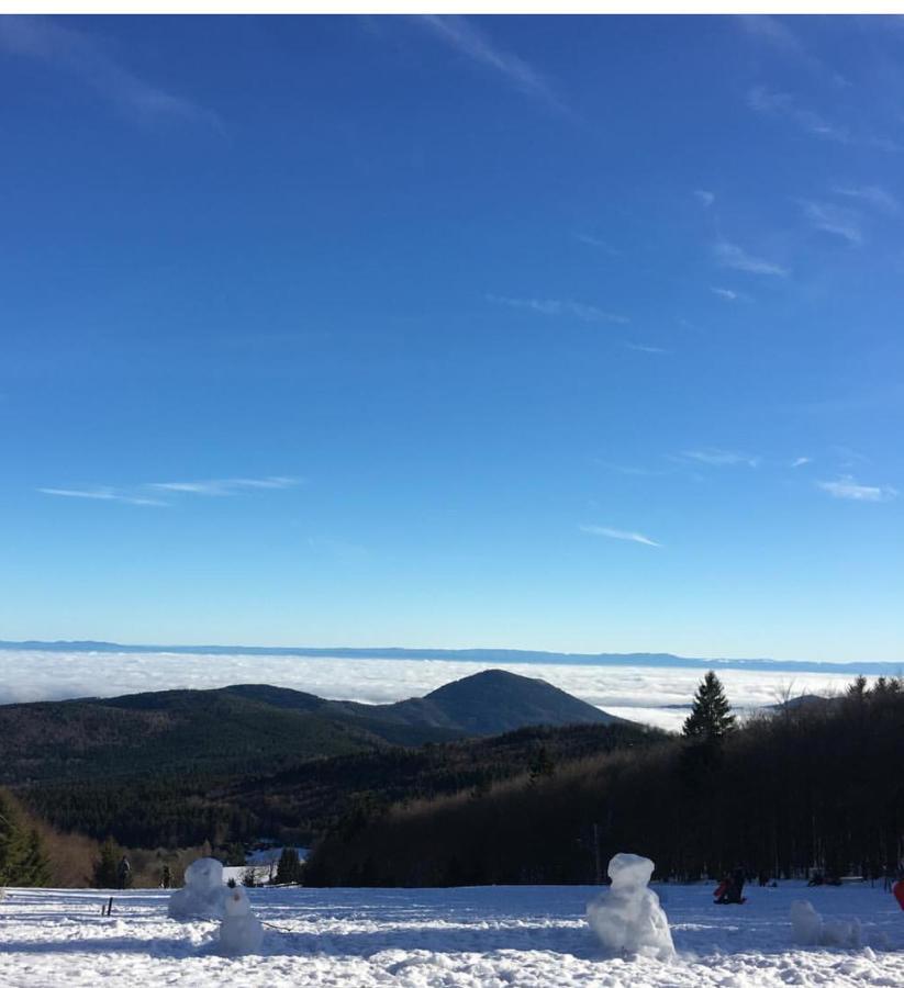 Gite Magnolia Chatenois Alsace Eksteriør billede